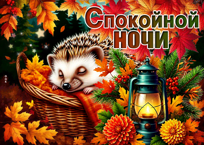 Postcard мягкая гиф-открытка, пусть ночь согревает