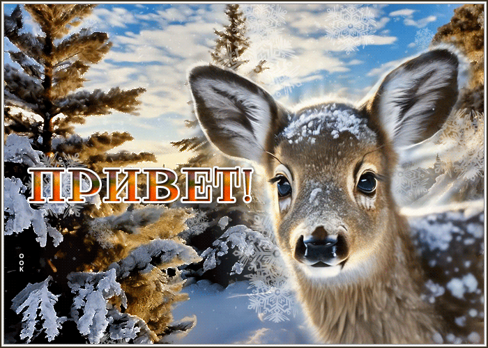 Picture настоящая гиф-открытка с оленем, привет