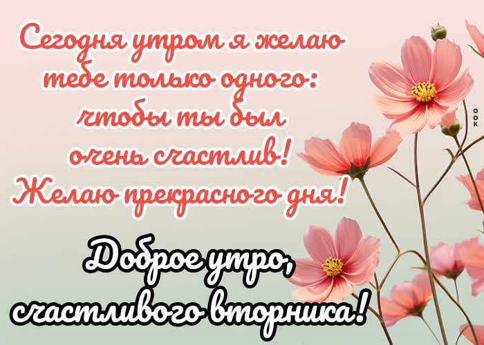 Postcard настоящая открытка с прекрысным и счастливым вторником