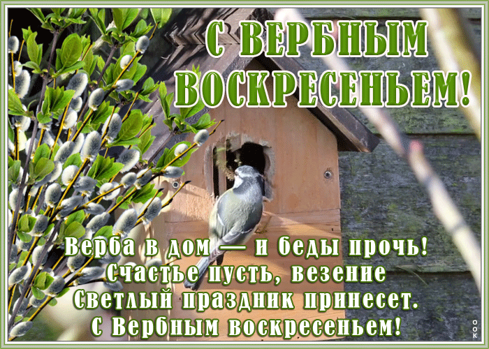 Картинка необычная открытка с вербным воскресеньем