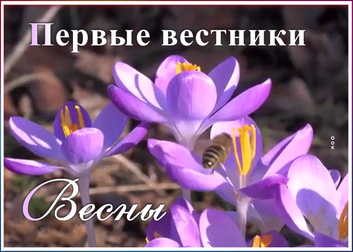 Картинка необычная открытка с весной