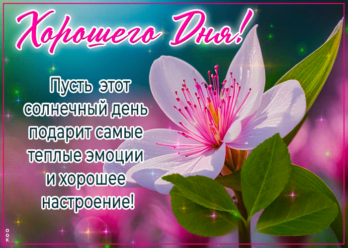 Postcard неповторимо-красивая гиф-открытка, пусть день подарит теплые эмоции