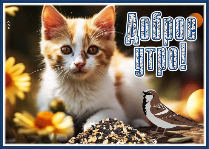 Postcard непревзойденная открытка с добрым утром