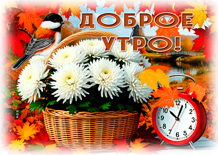 Postcard невесомая гиф-открытка, доброго осеннего утра