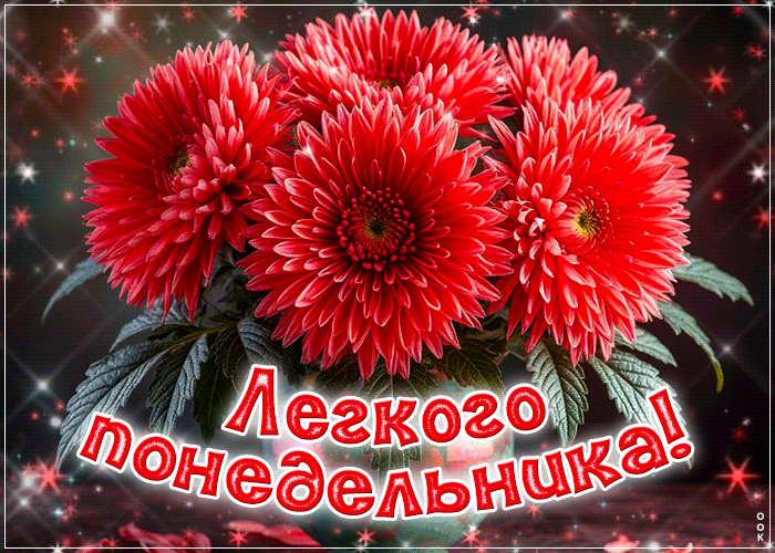 Picture незабываемая гиф-открытка, легкого понедельника