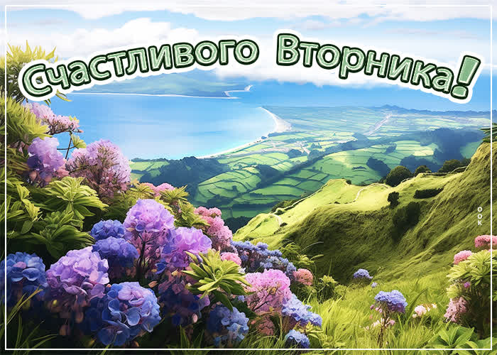 Postcard незабываемая открытка светлового вторника