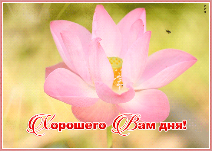 Открытка нежная картинка хорошего дня