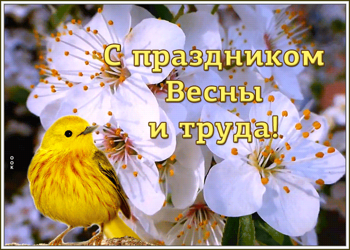 Открытка нежная открытка с праздником весны и труда