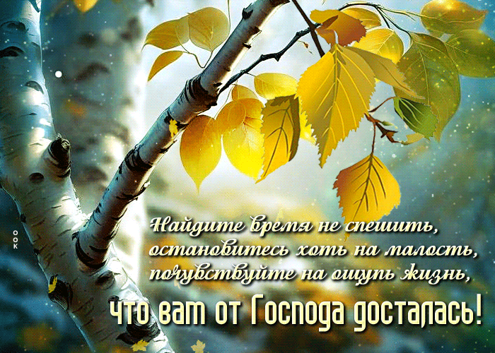 Postcard нежная гиф-открытка, желает не торопиться и почувствовать жизнь на ощупь