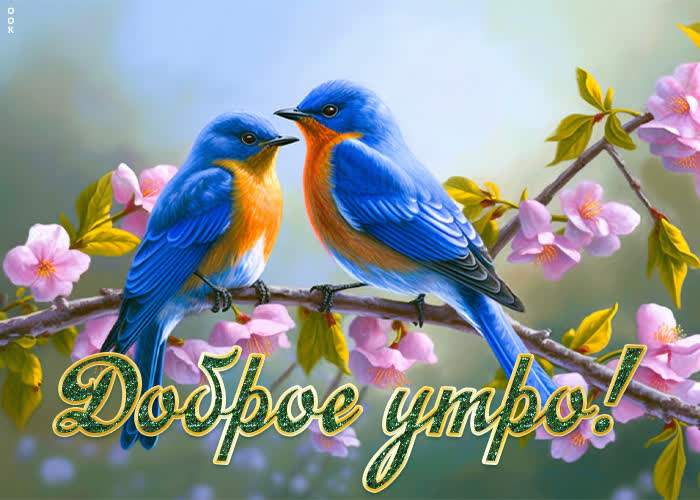 Postcard нежная картинка доброе утро с птичками