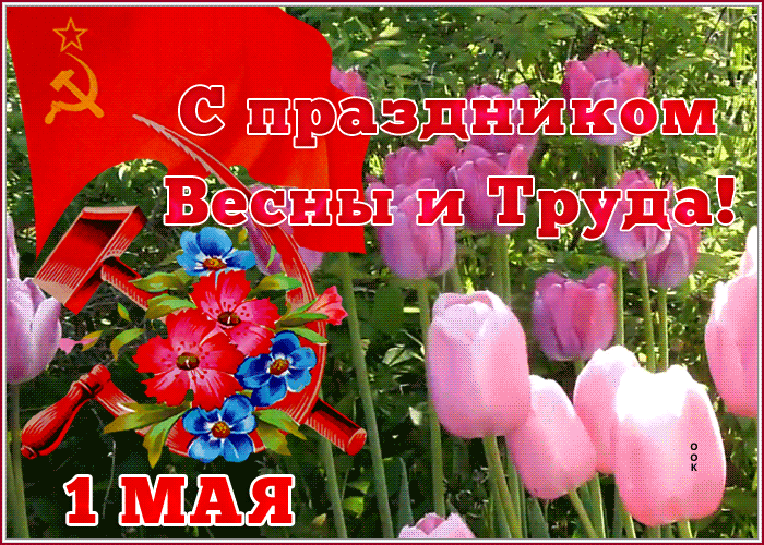 Picture нежная картинка с 1 мая