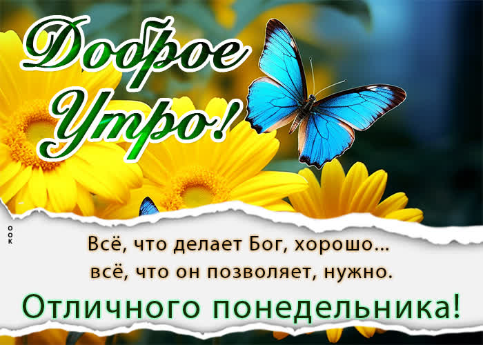 Postcard нежная открытка с добрым утром понедельника