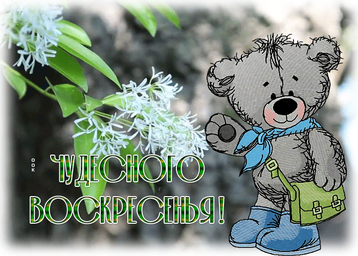 Postcard нежная открытка с пожеланием чудесного воскресенья