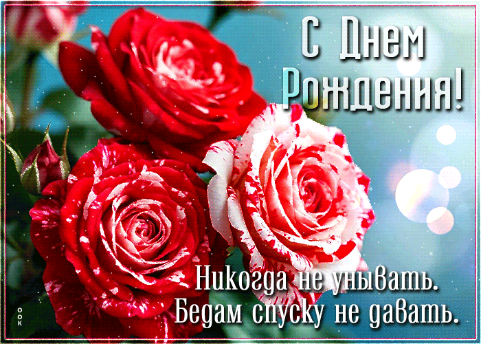 Picture никогда не унывать, бедам скидку не давать