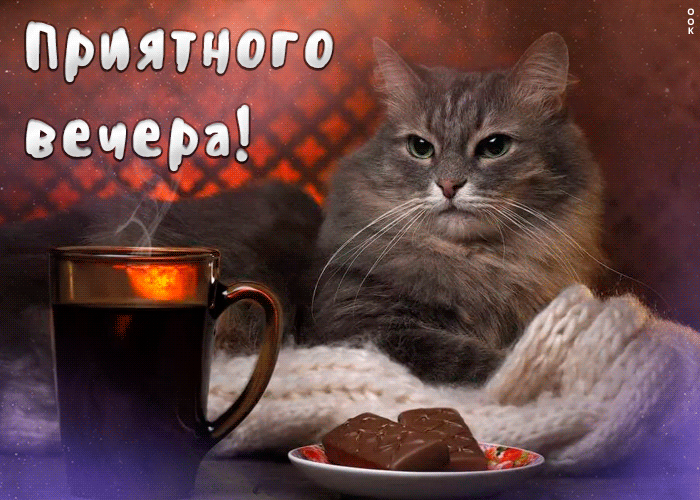 Картинка новая картинка хорошего вечера