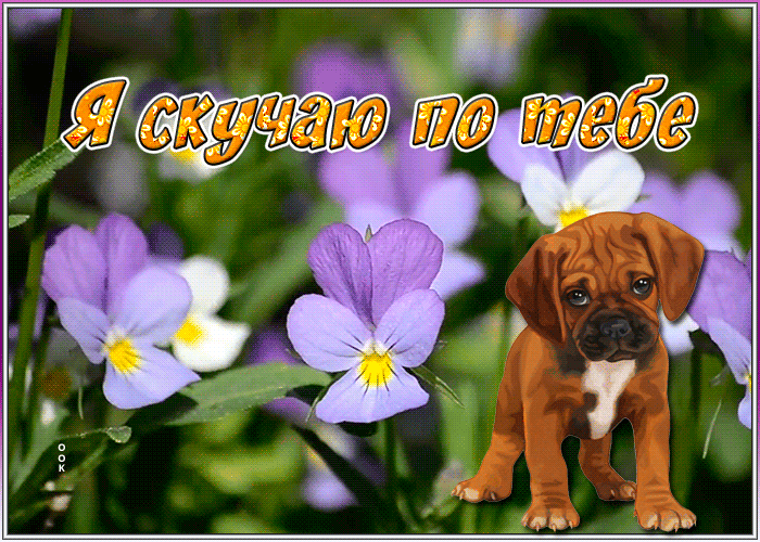 Открытка новая картинка скучаю
