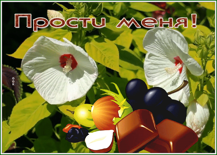 Postcard новая открытка прости с анимацией и цветами