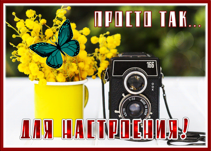 Postcard новая открытка просто так, для настроения