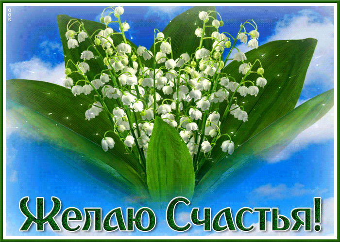 Открытка новая открытка с ландышами