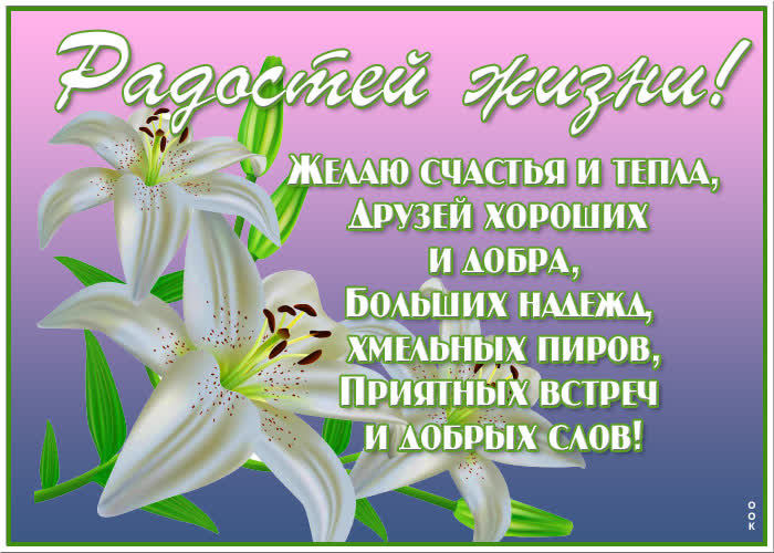 Картинка новая открытка с лилиями