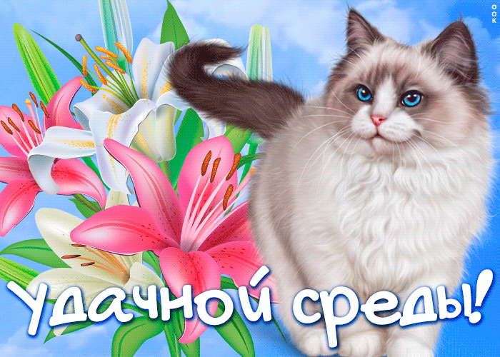 Картинка новая открытка со средой