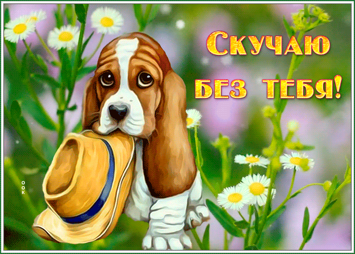 Postcard очаровательная открытка скучаю с песиком