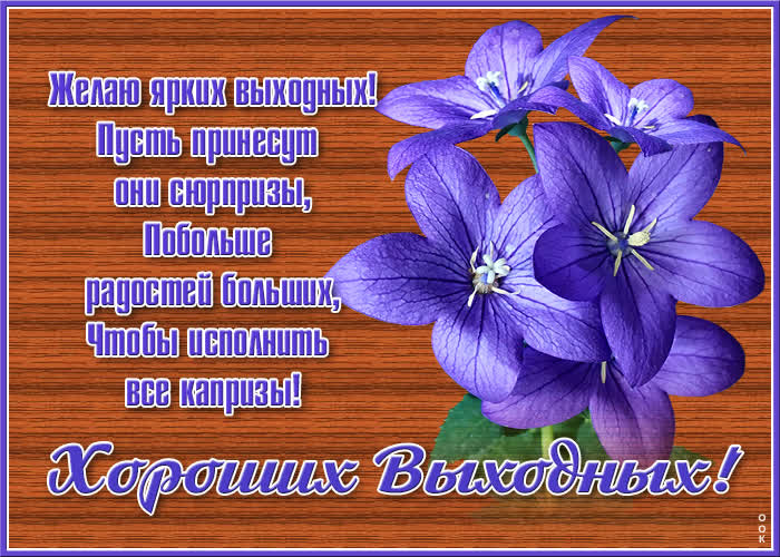 Открытка очаровательная картинка хороших выходных