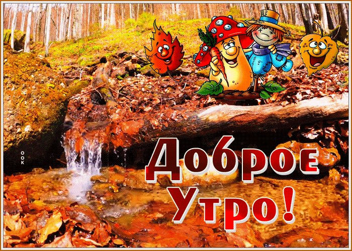 Открытка очаровательная осенняя открытка с добрым утром