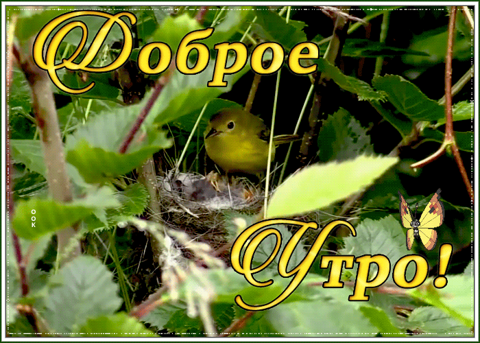 Картинка очаровательная открытка доброе утро