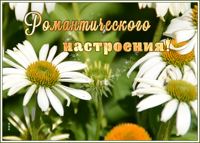Открытка очаровательная открытка с пожеланиями