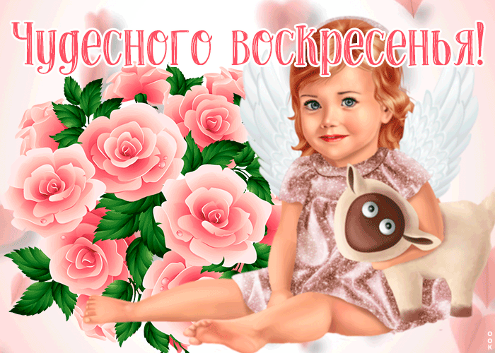 Картинка очаровательная открытка с воскресеньем