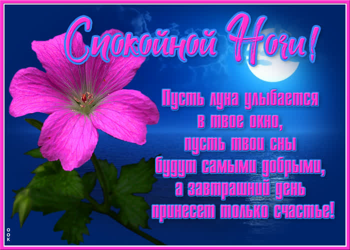 Открытка очаровательная открытка сладких снов