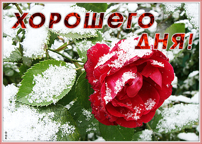 Открытка очень милая картинка хорошего дня