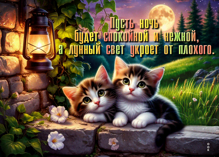 Picture оптимистичная гиф-открытка, пусть лунный свет укутает