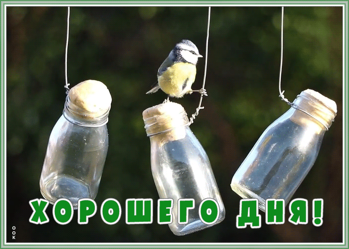 Картинка оригинальная картинка хорошего дня