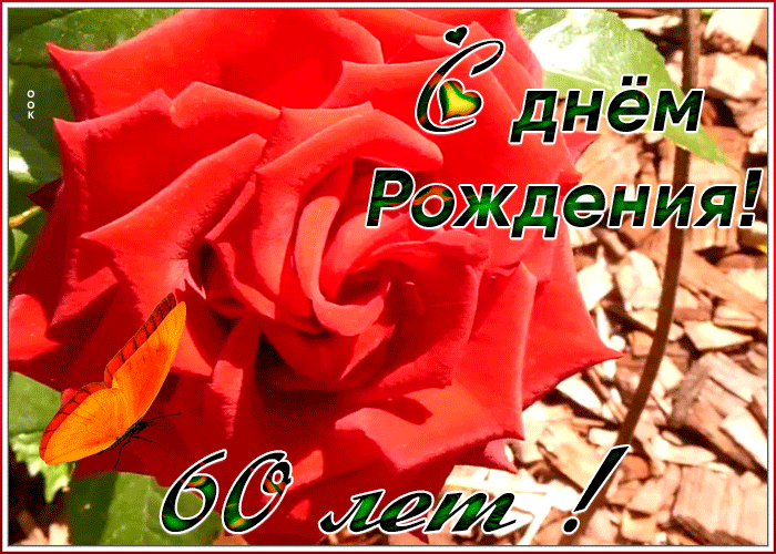 Открытка оригинальная открытка день рождения 60 лет