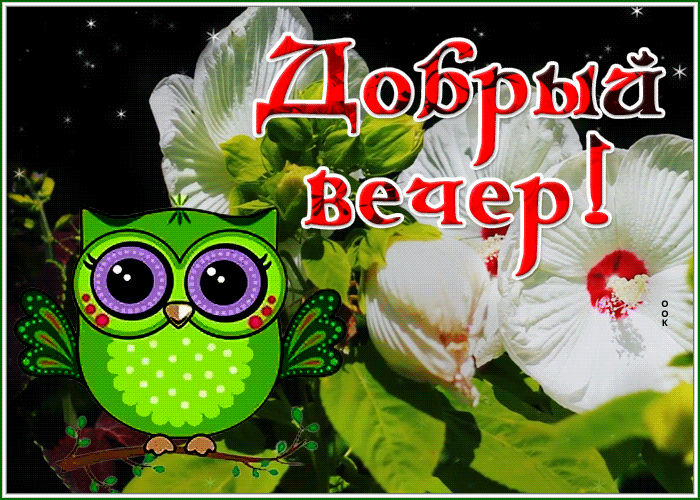 Postcard оригинальная открытка добрый вечер с цветами
