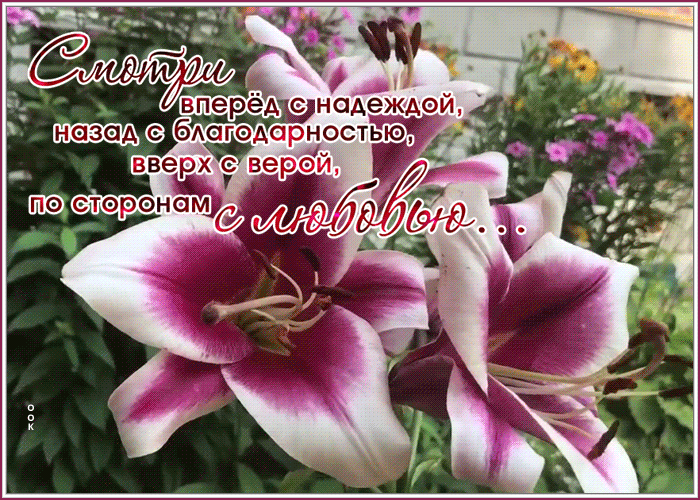 Открытка оригинальная открытка с пожеланиями