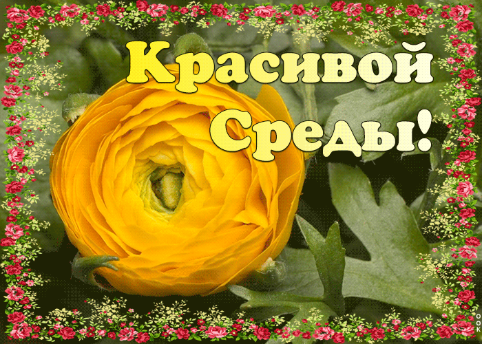 Открытка оригинальная открытка со средой