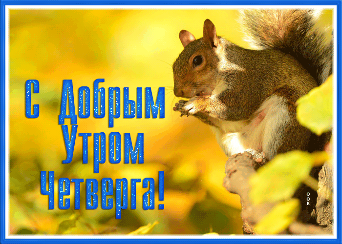Postcard осенняя открытка доброе утро четверга с белочкой