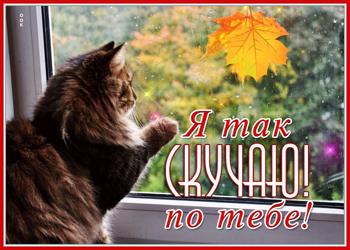 Picture осенняя открытка я так скучаю по тебе