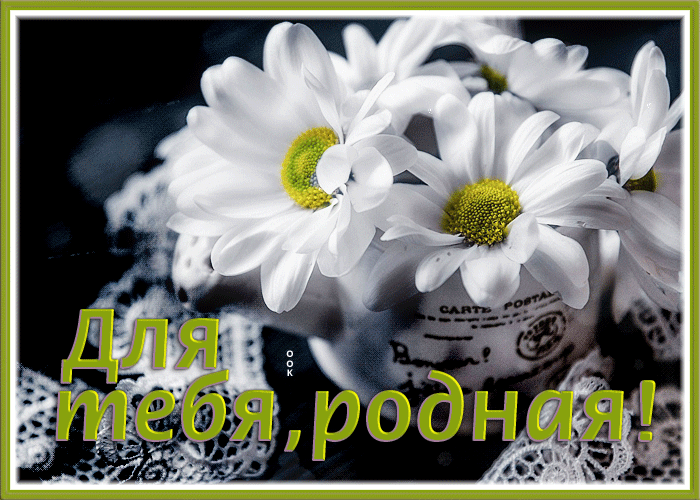 Postcard откртыка подруге с ромашками для тебя, родная