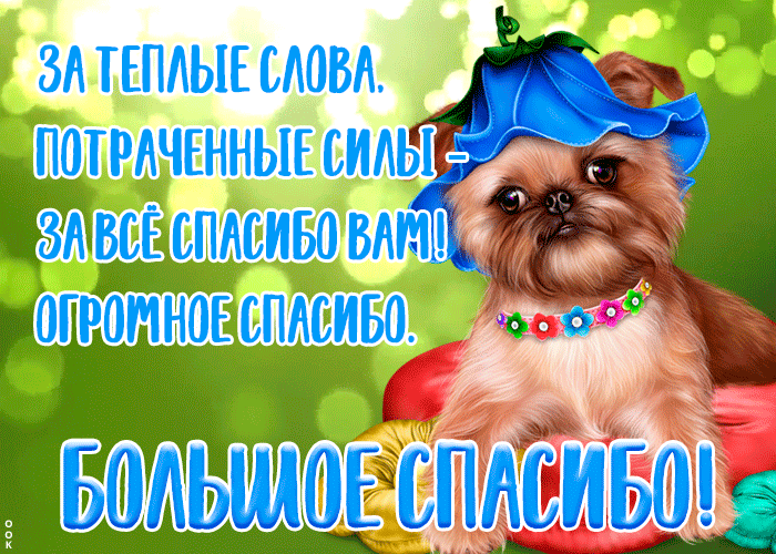 Картинка открытка большое спасибо со стихами