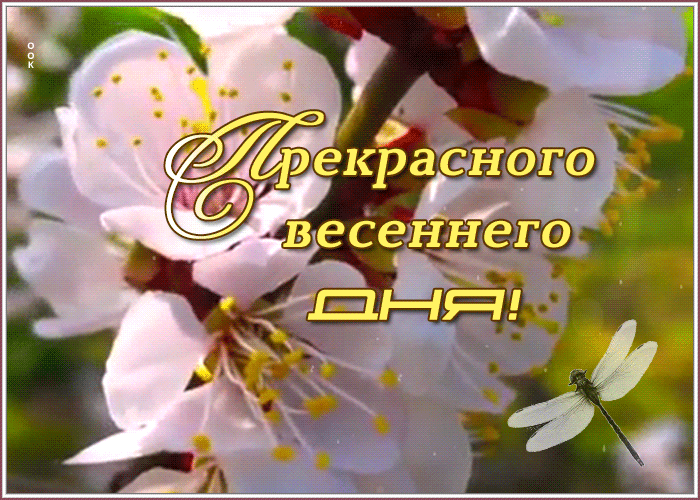 Картинка открытка чудесного, незабываемого дня