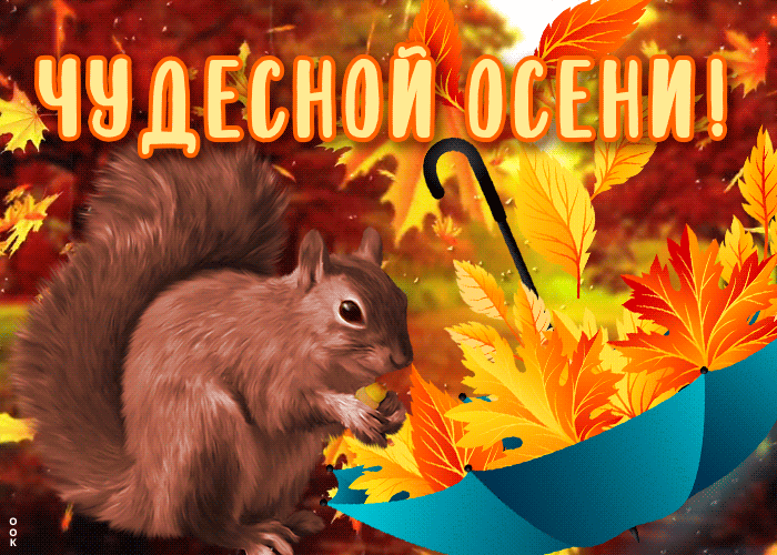 Открытка открытка чудесной осени