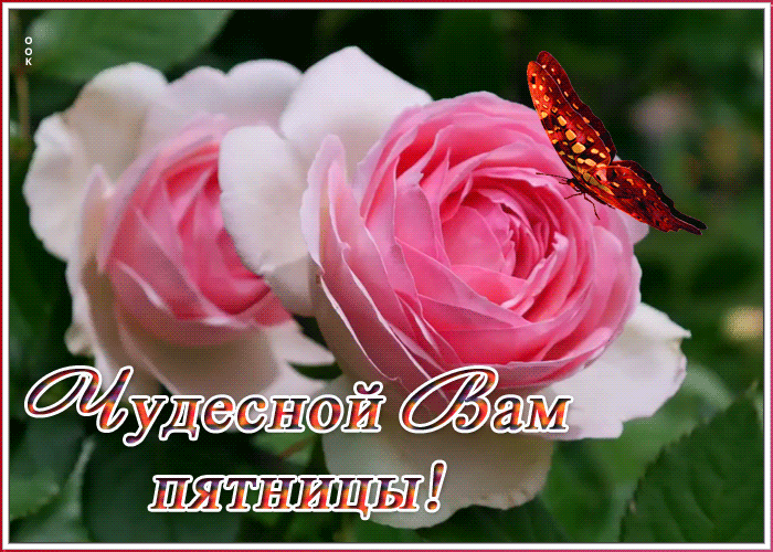 Картинка открытка чудесной пятницы