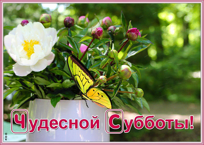 Открытка открытка чудесной субботы