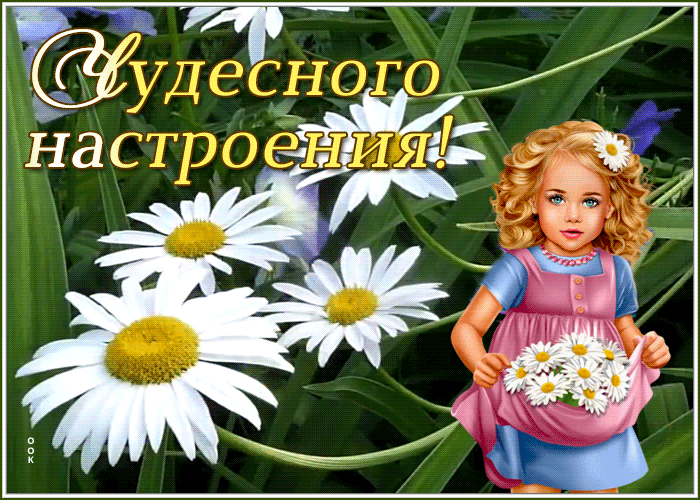 Картинка открытка для настроения с ромашками