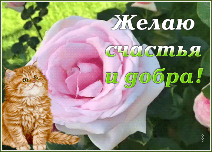 Картинка открытка для тебя корзина счастья