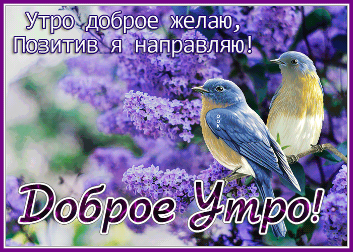 Picture открытка доброе утро, позитив я направляю